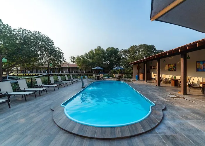 Lontra PantanalPousada